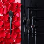 makeup brush set
