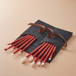 Makeup Brushes with case