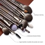 makeup brushes set