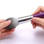 face brush