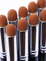 lip brush