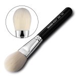 face brush