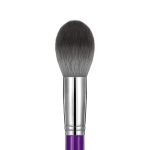 face brush