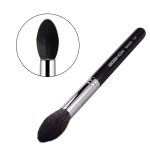 face brush