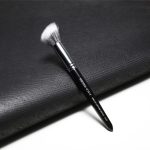 face brush