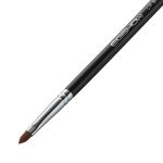 lip brush