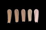 CHERI UP CONCEALER