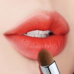 lip brush