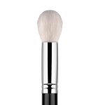 face brush
