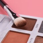 professional brushes