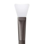 mask brush