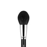 face brush