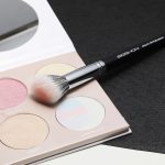 face brush