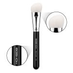 face brush