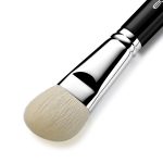 face brush