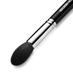 face brush
