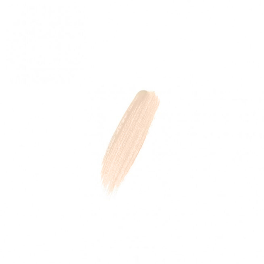 CONCEALER